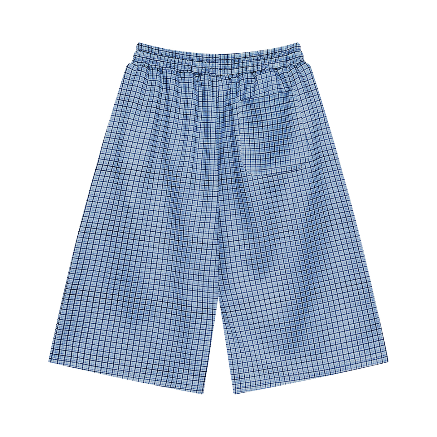 Men Plaid Drawstring Shorts
