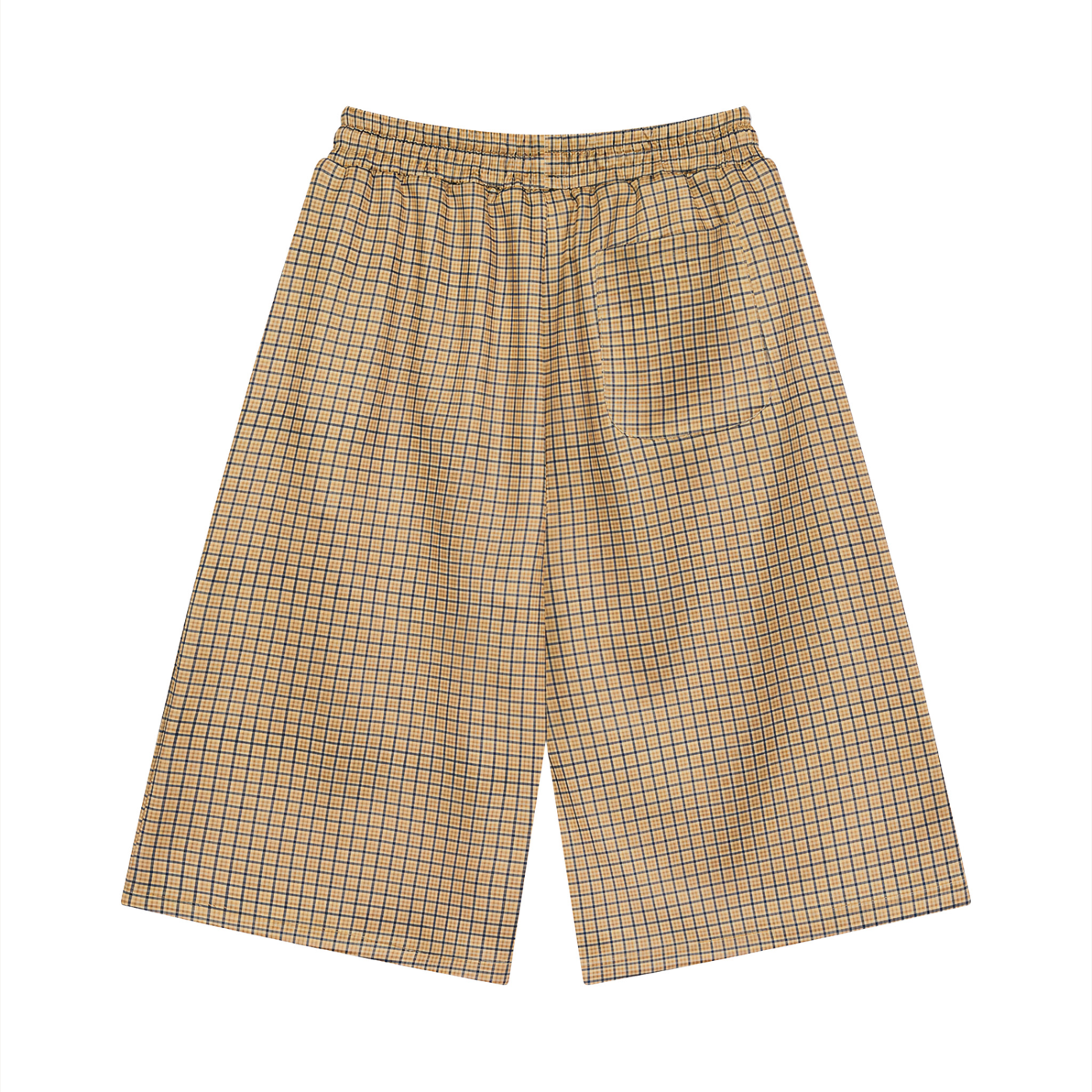 Men Plaid Drawstring Shorts