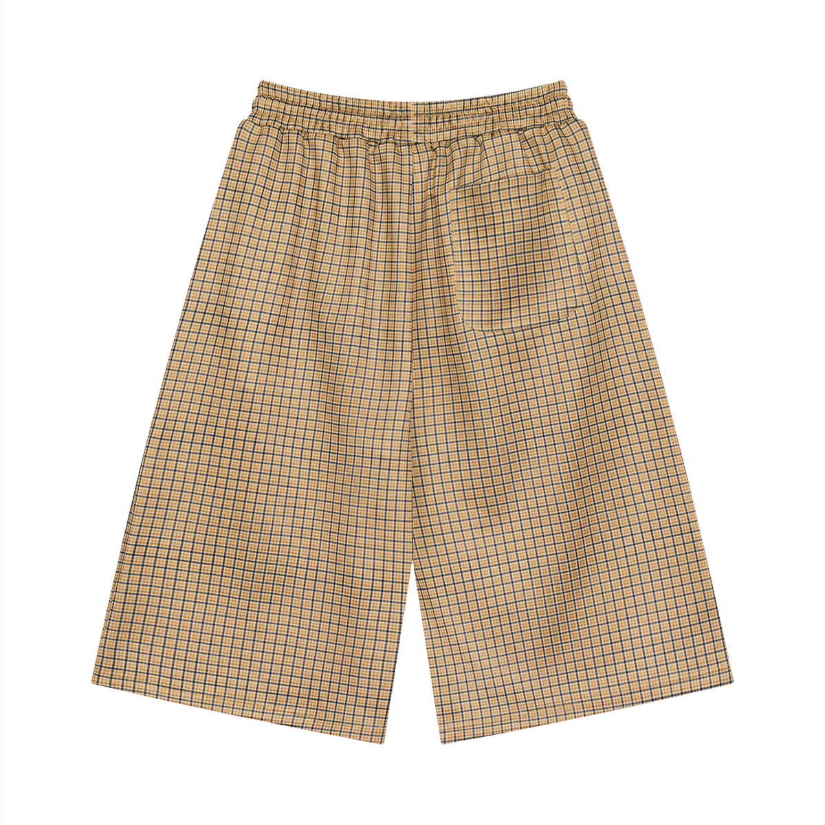 Men Plaid Drawstring Shorts